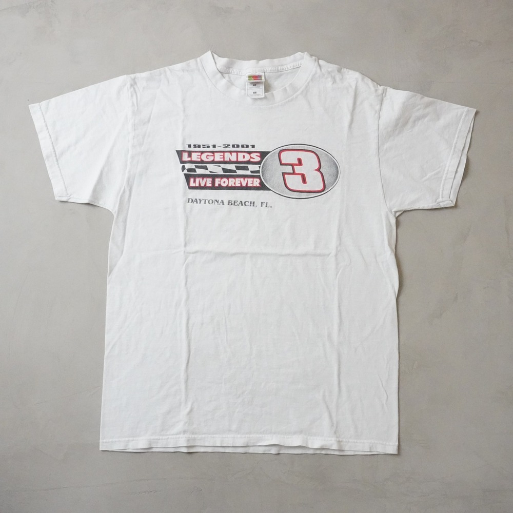 Vintage Dale Earnhardt T-Shirt Large Mens 00s White NASCAR 3 Fruit of the Loom